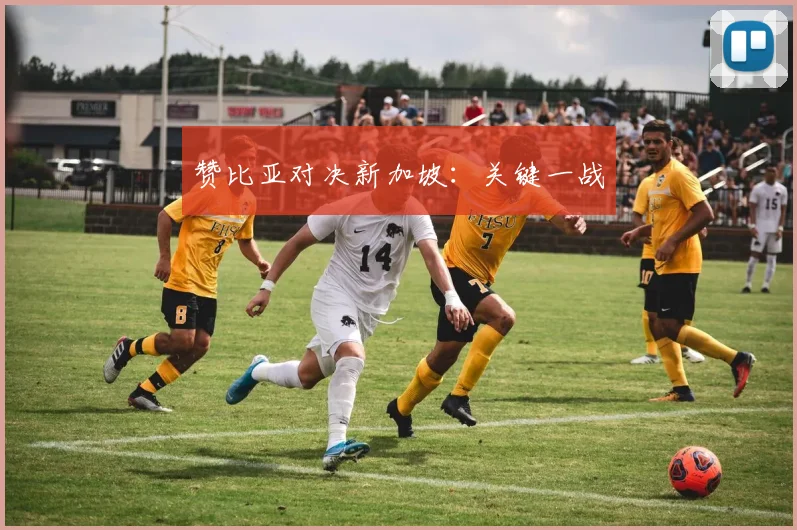 赞比亚对决新加坡：关键一战