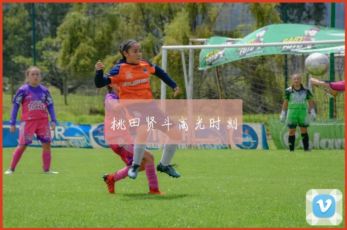 桃田贤斗高光时刻