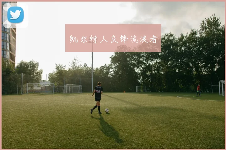 凯尔特人交锋流浪者