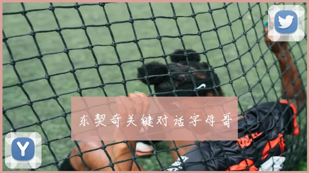 东契奇关键对话字母哥