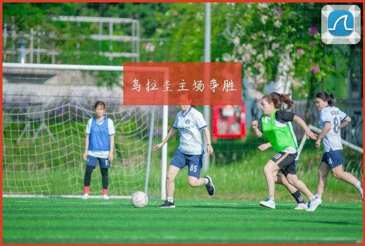 乌拉圭主场争胜