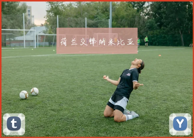 荷兰交锋纳米比亚