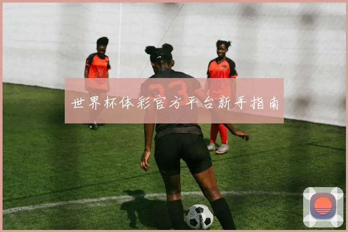 世界杯体彩官方平台新手指南