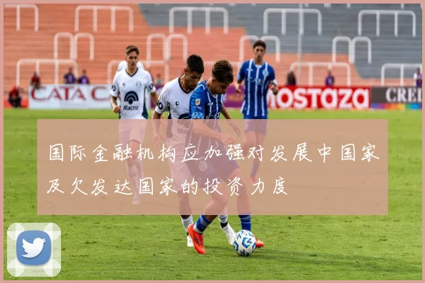 国际金融机构应加强对发展中国家及欠发达国家的投资力度