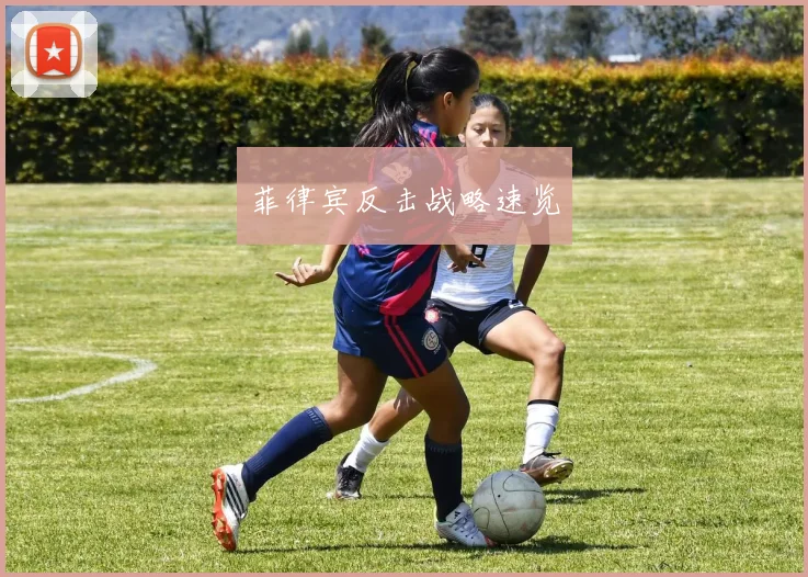 菲律宾反击战略速览