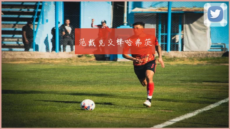 范戴克交锋哈弗茨