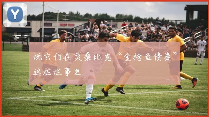说它们在莫桑比克“金枪鱼债券”这桩烂事里