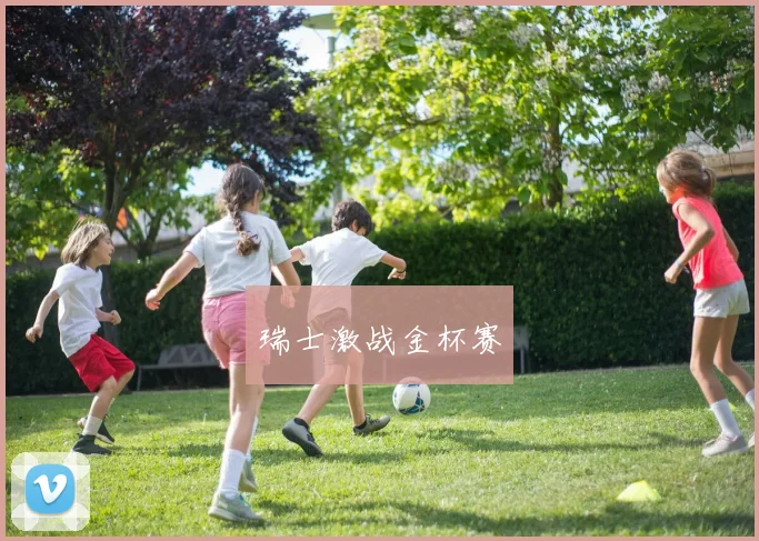 瑞士激战金杯赛