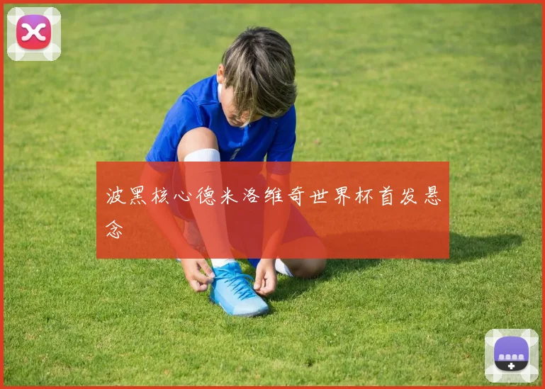 波黑核心德米洛维奇世界杯首发悬念
