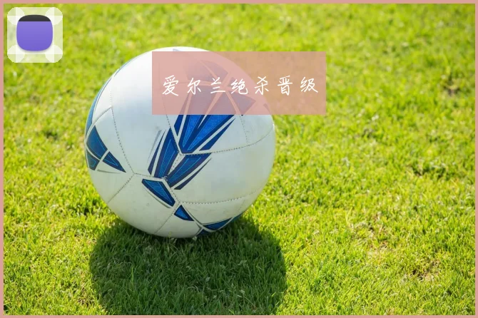 爱尔兰绝杀晋级