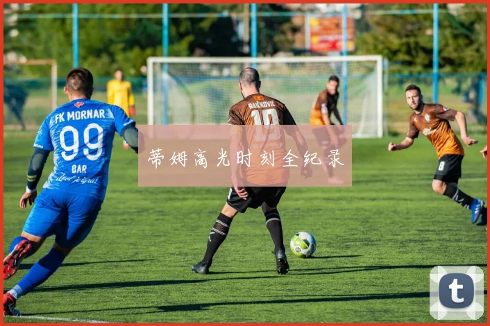 蒂姆高光时刻全纪录