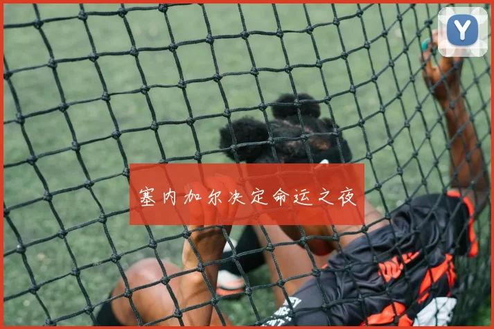 塞内加尔决定命运之夜
