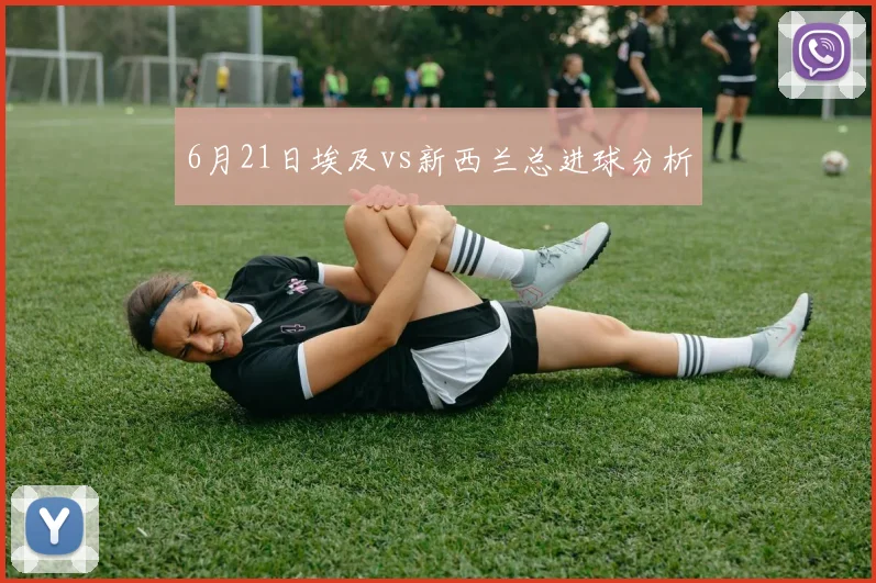 6月21日埃及vs新西兰总进球分析