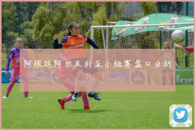 阿根廷阿尔及利亚小组赛盘口分析