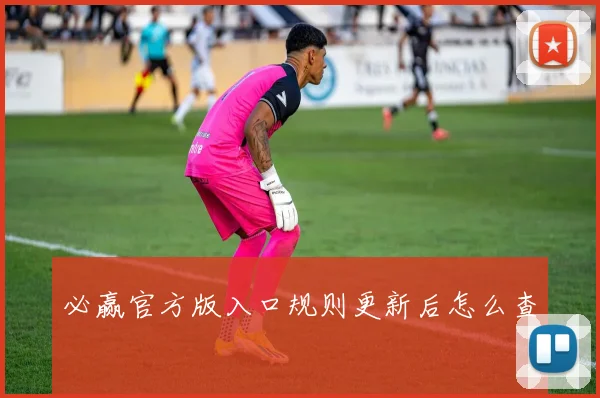 必赢官方版入口规则更新后怎么查